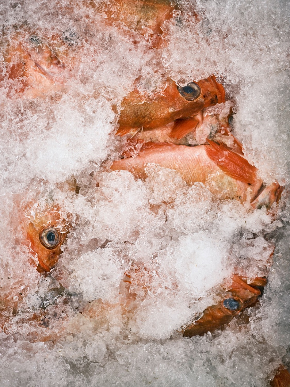 © Christoph Wirth