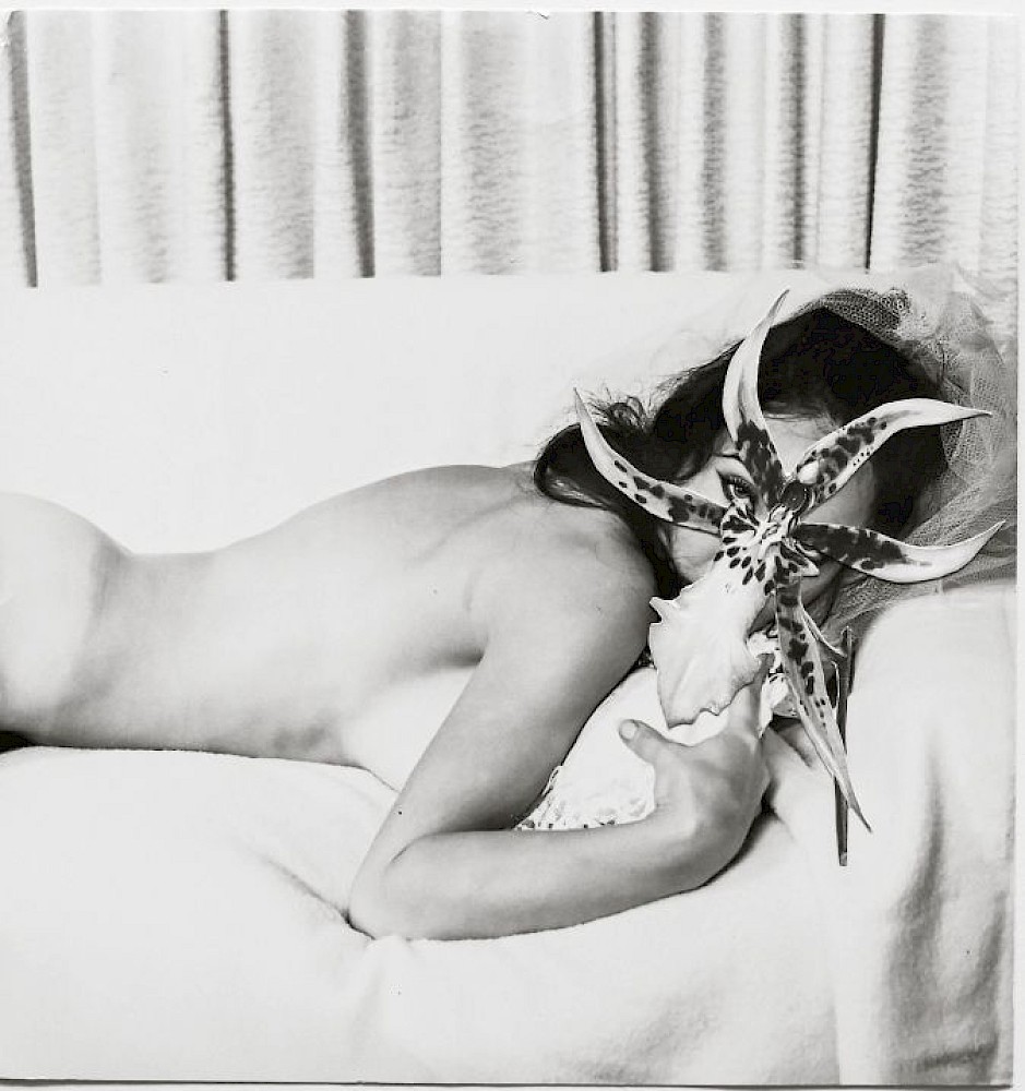 © Kirsten Becken: Orchid, 2023